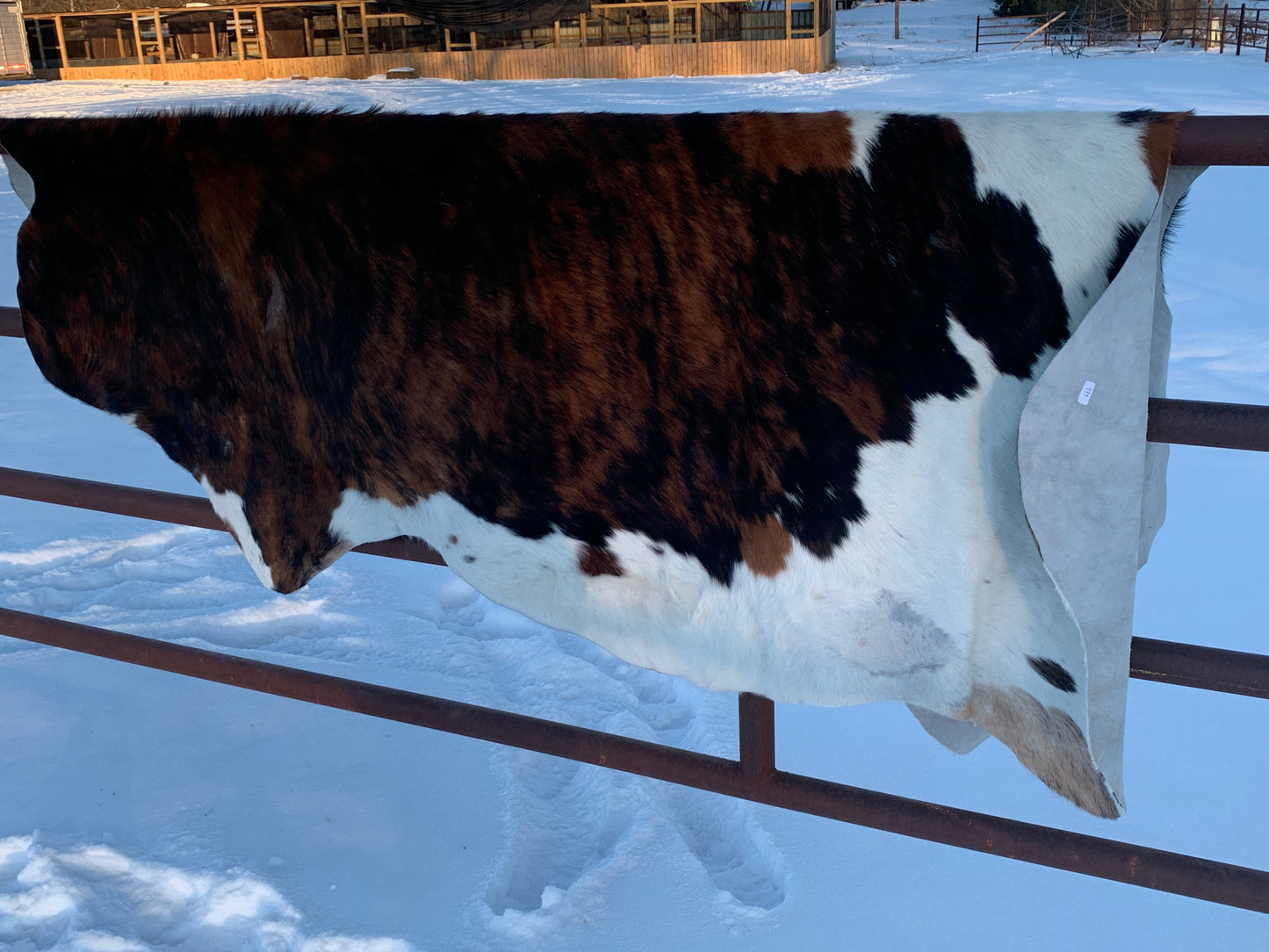 Natural Brazilian Tanned Cowhide