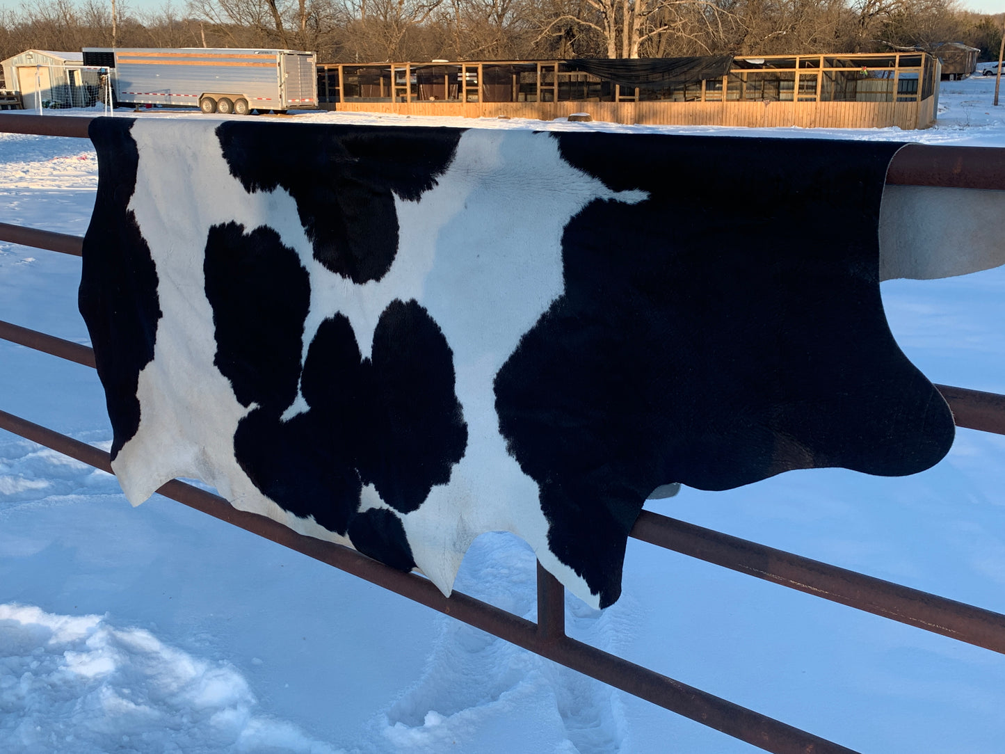 Natural Brazilian Tanned Cowhide