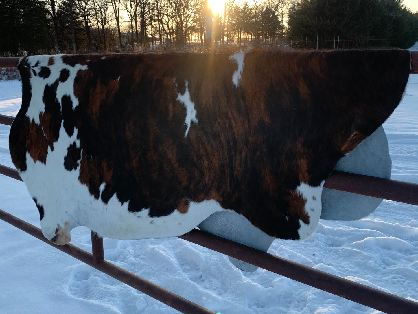 Natural Brazilian Tanned Cowhide