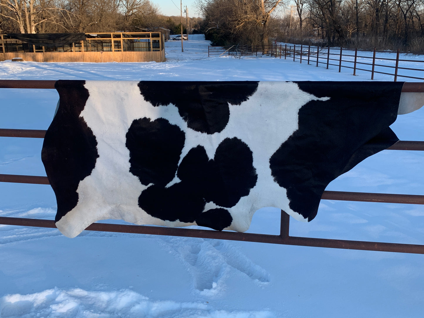 Natural Brazilian Tanned Cowhide