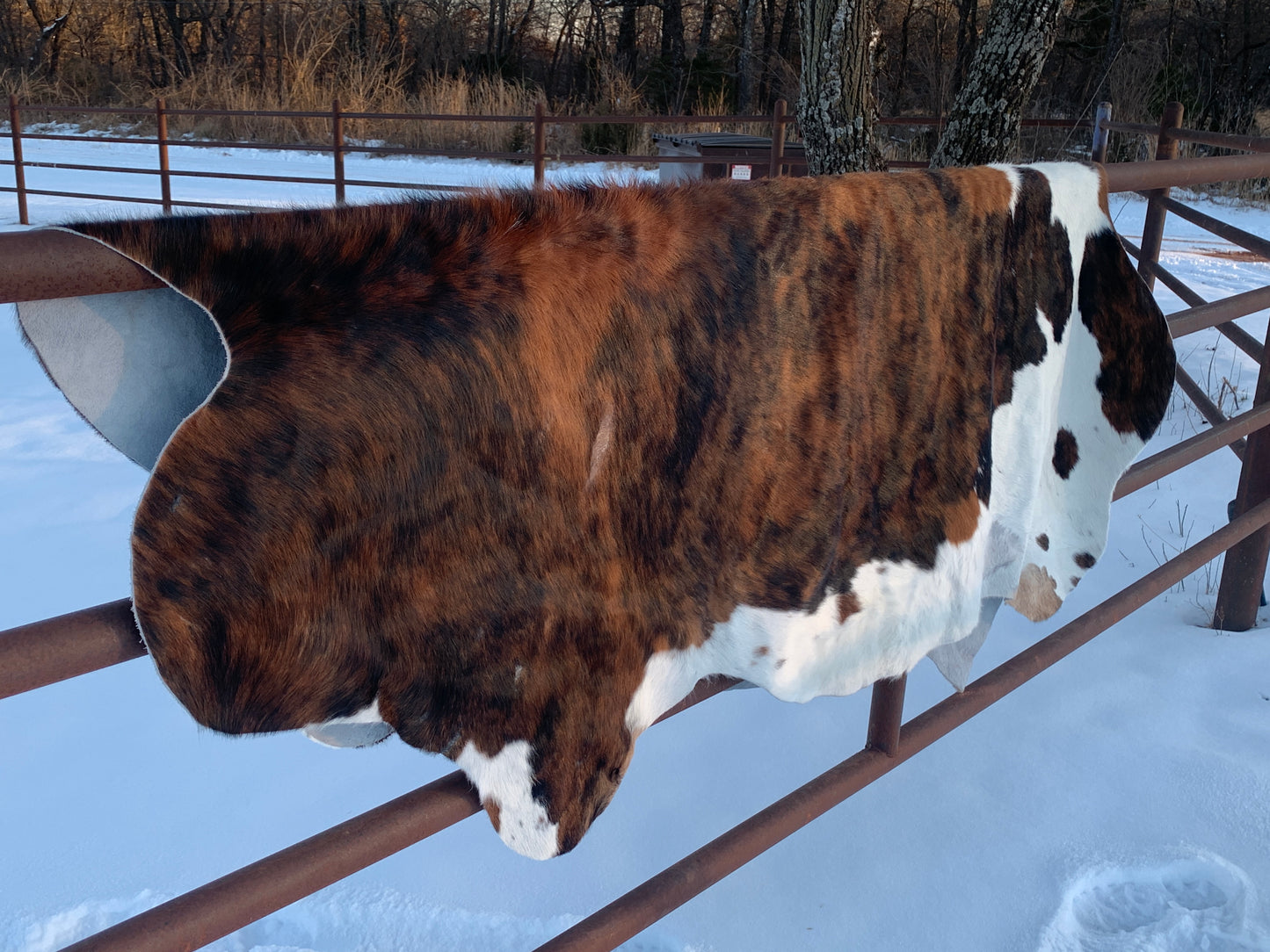 Natural Brazilian Tanned Cowhide