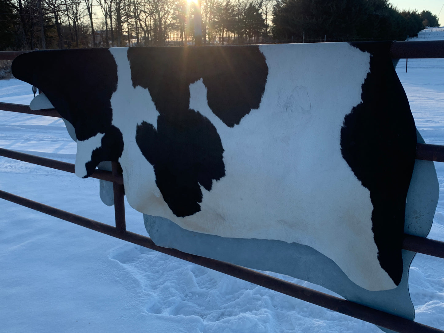 Natural Brazilian Tanned Cowhide