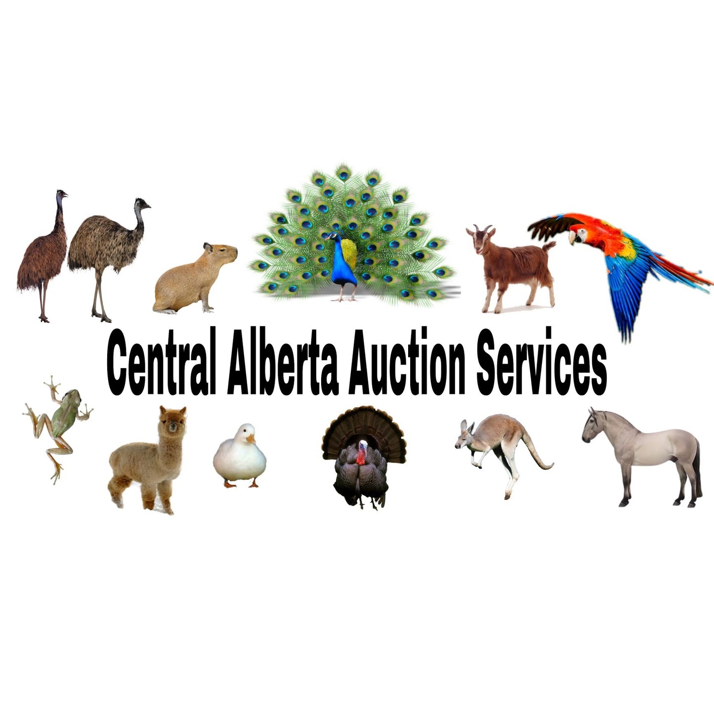 Central Alberta Auction Services Gift Card